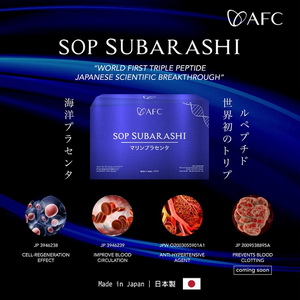 subarashi-300